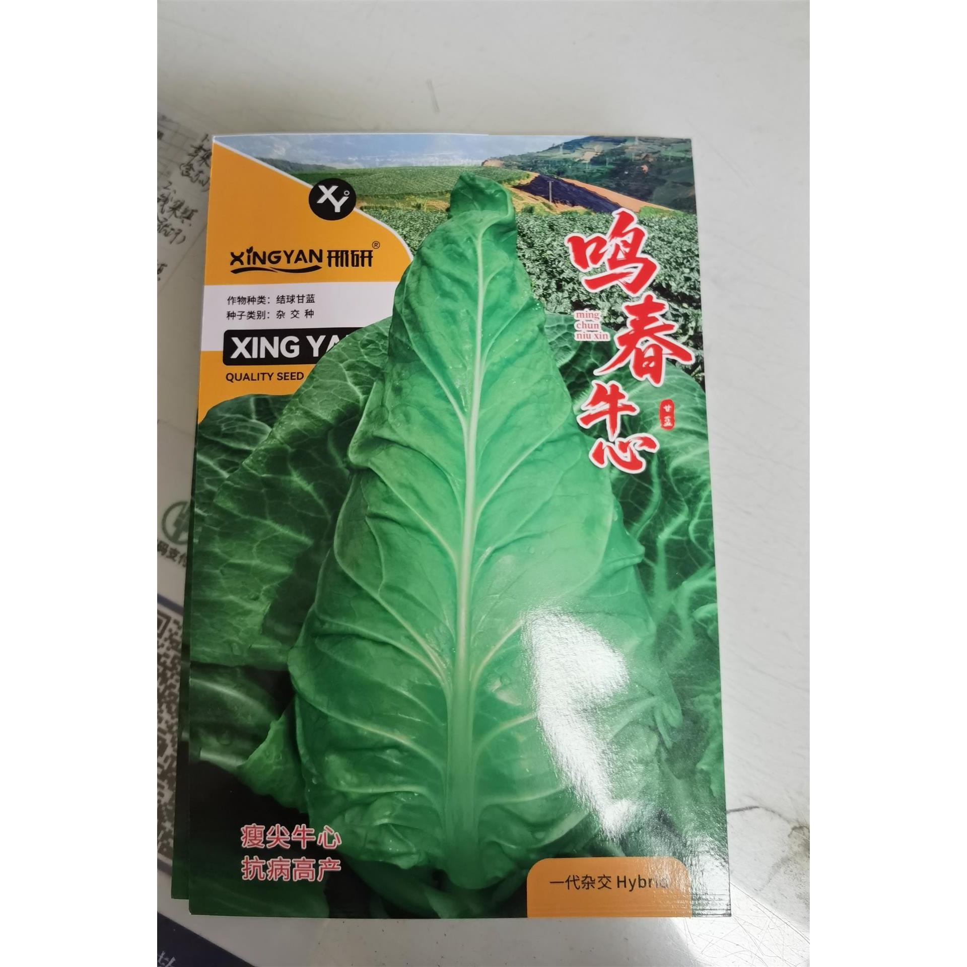 鸣春牛心杂交甘蓝种子高产抗病耐热耐寒农家菜园基地种植蔬菜种子