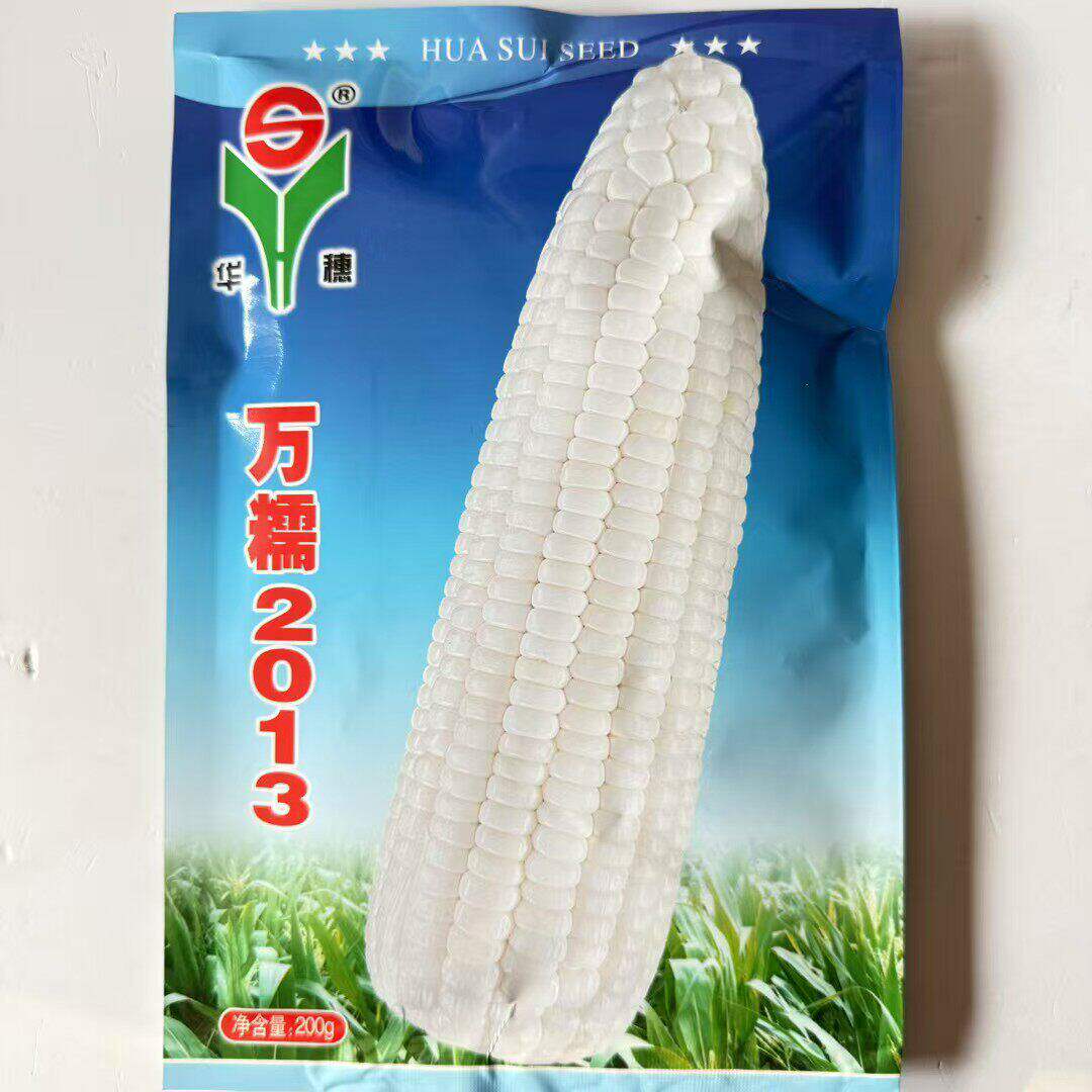 万甜糯2013玉米种子早中熟大棒甜糯玉米皮薄无渣无秃尖春播玉米种