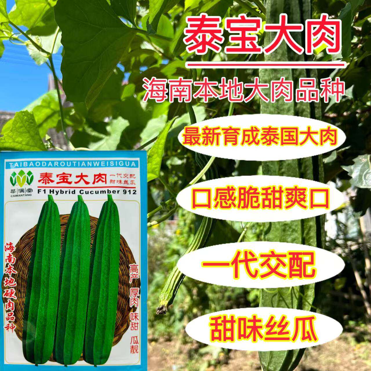 大肉丝瓜种子香甜棱角八角瓜种籽春秋季种耐热高产老品种蔬菜种孑