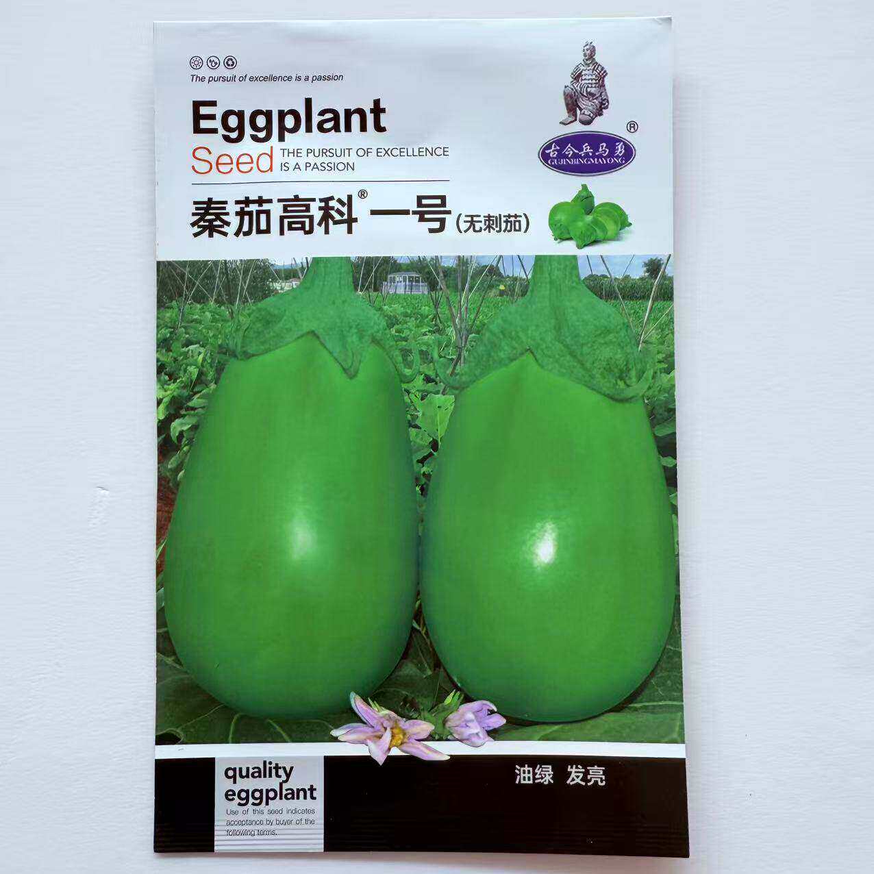 蔬菜瓜果茄子种子大全青茄子种籽秦茄高科一号绿茄子籽种大田高产