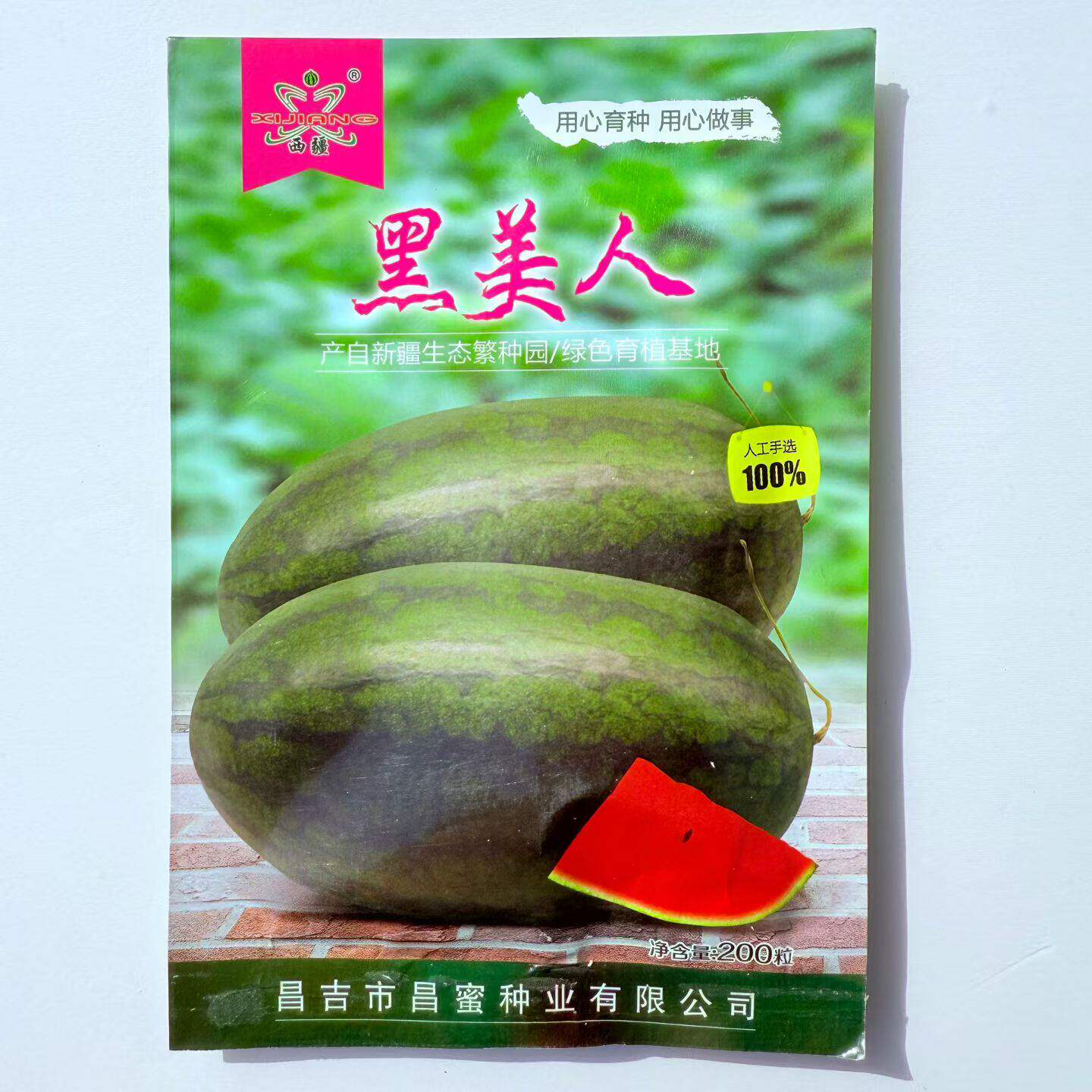 黑美人西瓜种子早熟礼品小西瓜籽椭圆形薄皮高糖耐贮运大田西瓜孑