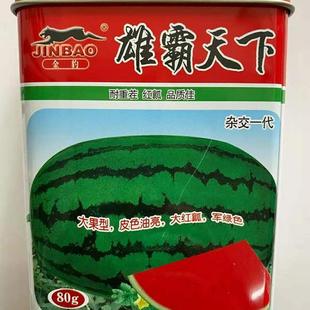 赣新种子雄霸天下西瓜种子籽耐重茬椭圆形大果绿亮瓜脆大沙子红瓤