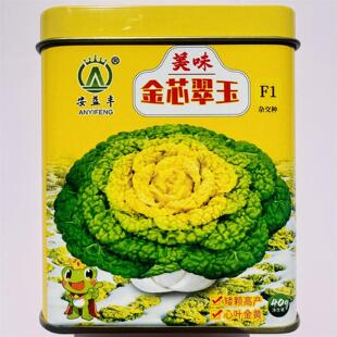 美味金芯翠玉黄心乌塌菜种子耐寒黄心菜种籽菊花心菜籽蔬菜种子籽
