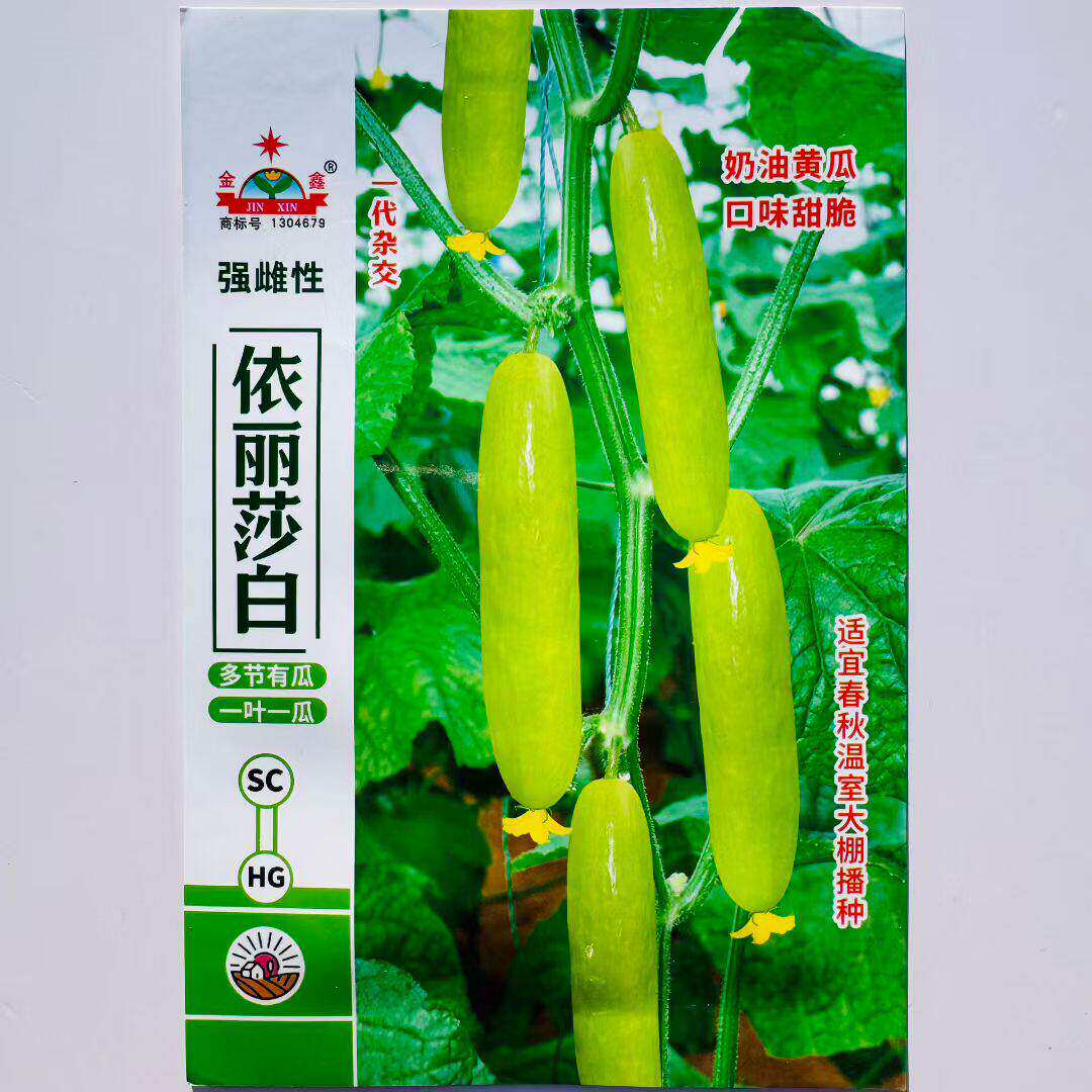 依丽莎白强雌黄白皮奶油水果黄瓜种子甜脆无渣耐寒热早熟适应性广