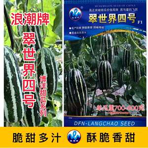 浪潮翠世界四号甜瓜种子酥脆香瓜种籽薄皮酥瓜厚肉高糖高产甜瓜孑