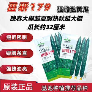 田研179黄瓜种子高产抗病耐热耐寒春秋播农家菜园基地种植蔬菜籽