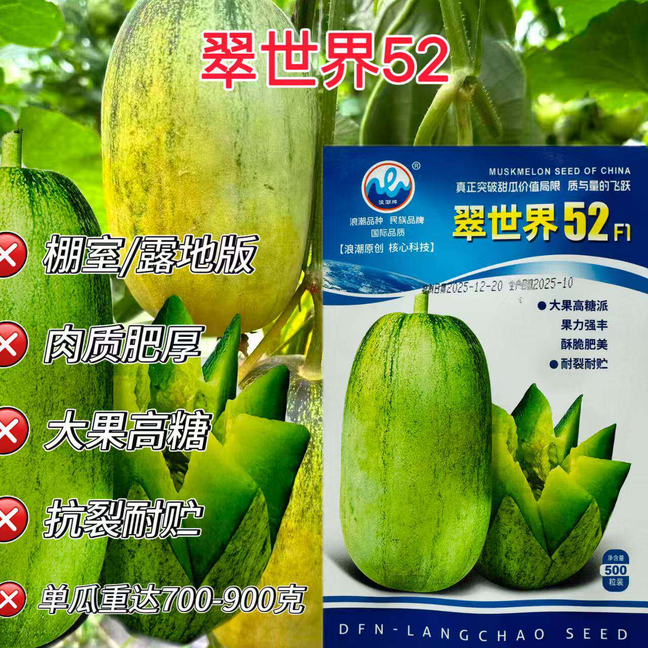 浪潮翠世界52甜瓜种子中熟皮薄果肉青绿色细脆酥香甜多汁抗病高产