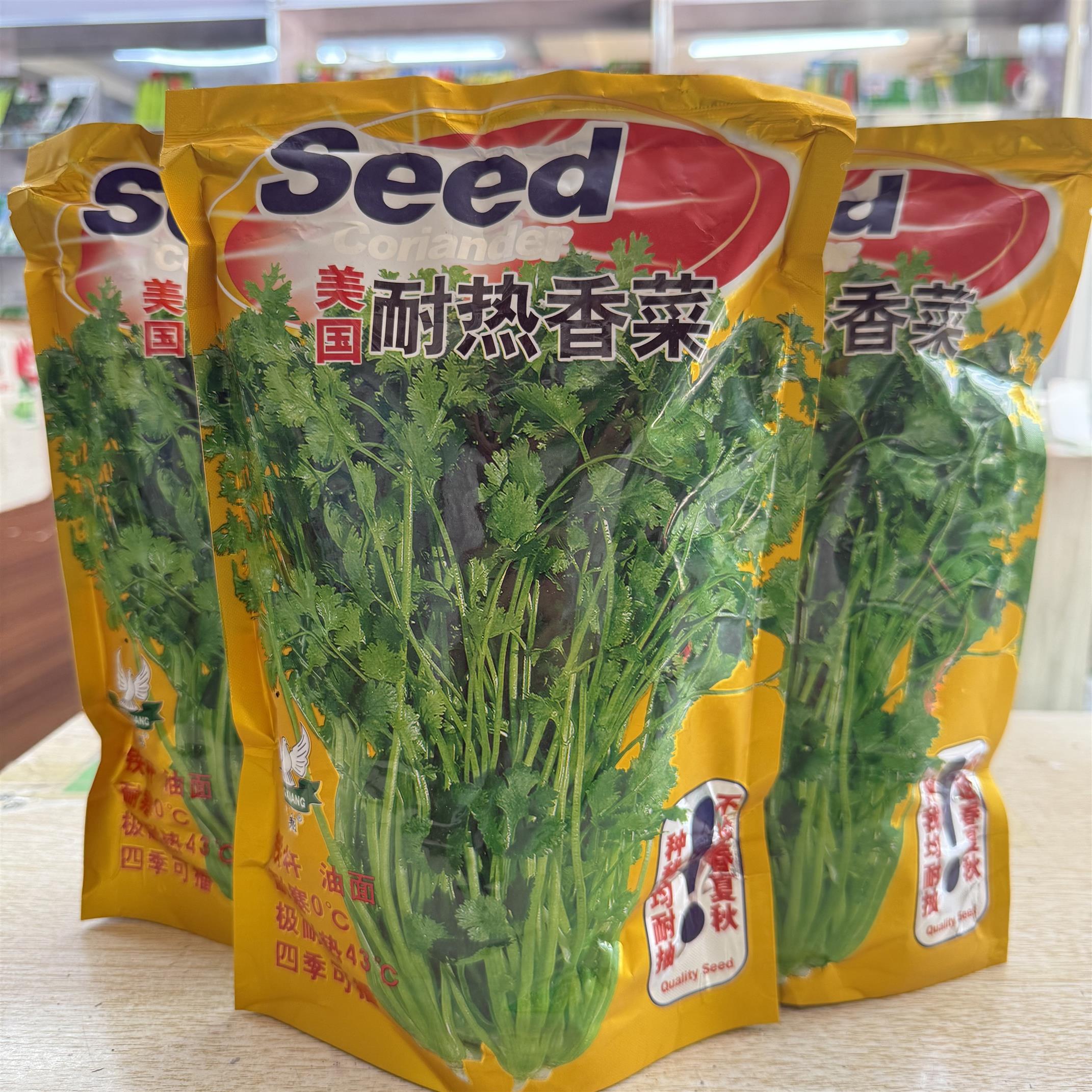美国耐热香菜种子高产耐抽薹抗热43度农户夏季大面积种蔬菜四季种