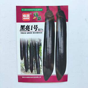 绵蔬黑亮1号长茄子种子油黑靓丽美观顺直高产抗病南北方春秋播种