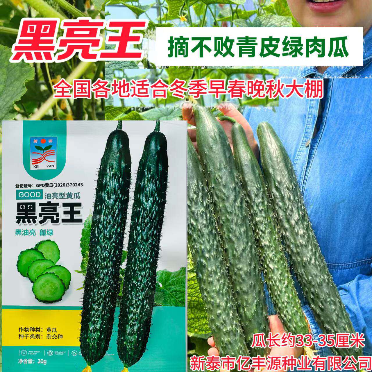 黑亮王黄瓜种子黑油亮把短密刺青脆甜耐寒黄瓜种籽青皮青肉青瓜孑
