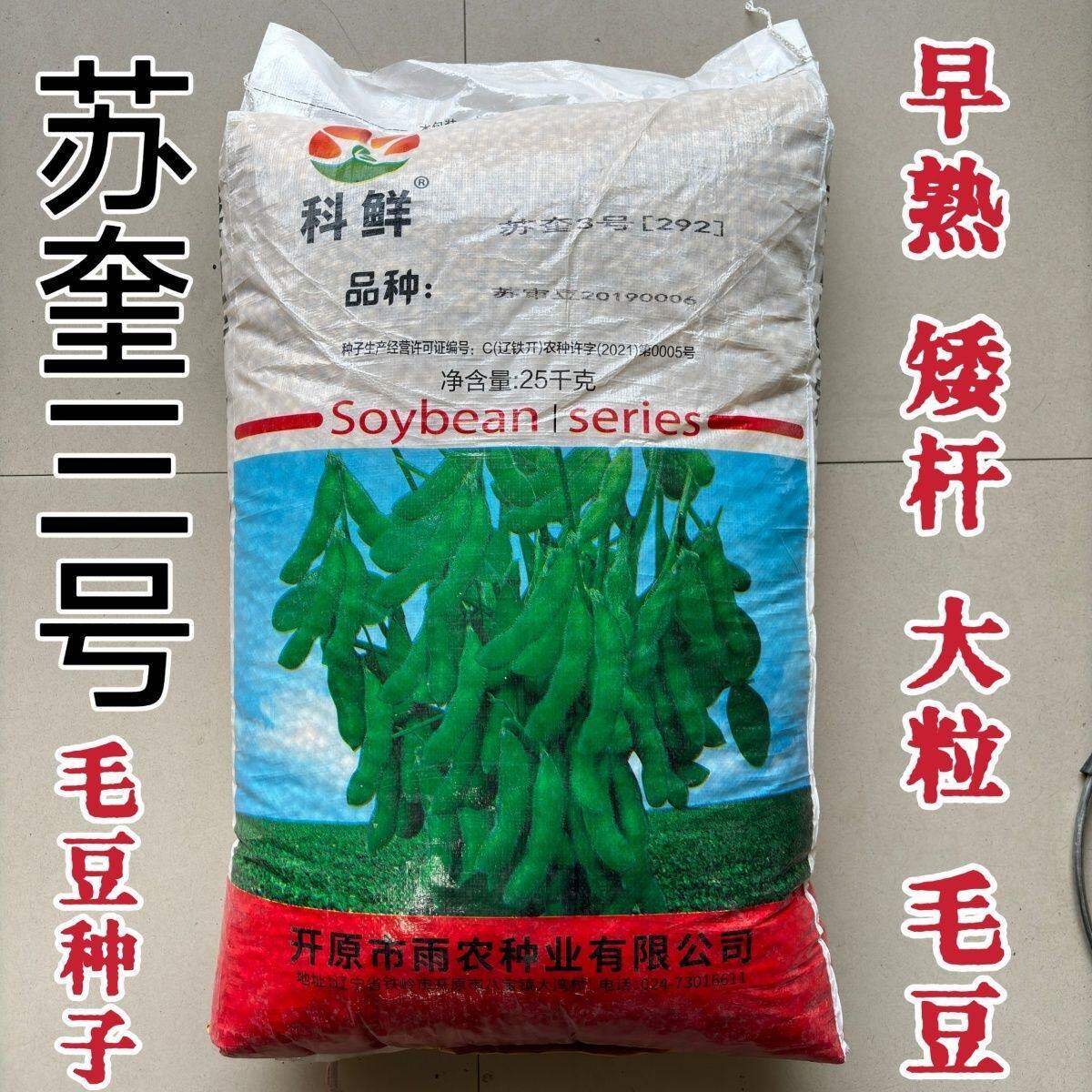 苏奎3号毛豆种子292毛豆早熟大荚鲜嫩脆甜粒大矮杆高产青豆种籽子