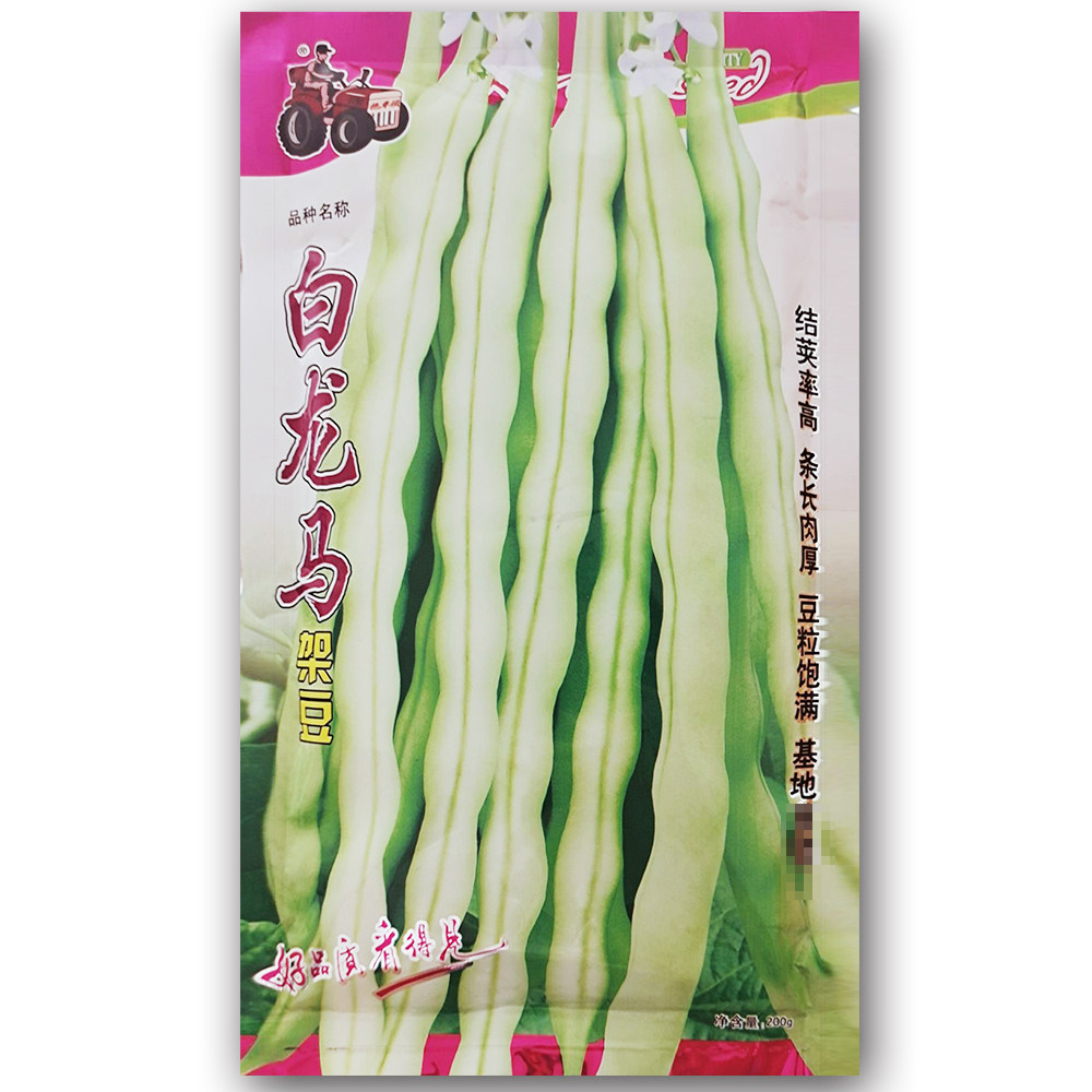 白龙马架豆种子高产豆角种籽白花抗病强四季豆芸豆蔬菜大田种用孑