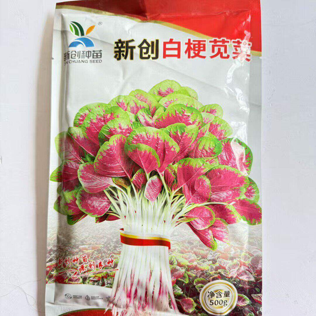 新创白梗苋菜种子早熟浅白梗花叶苋菜种子耐热圆叶汉菜长寿菜籽种