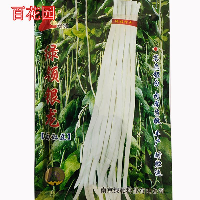白豇豆种子银龙长豆角种子银白色高产肉厚质嫩四季蔬菜种籽孑