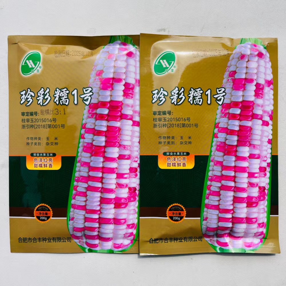 彩甜糯1号班种子杂交彩糯高产大棒超甜型鲜食玉米种子非转基因