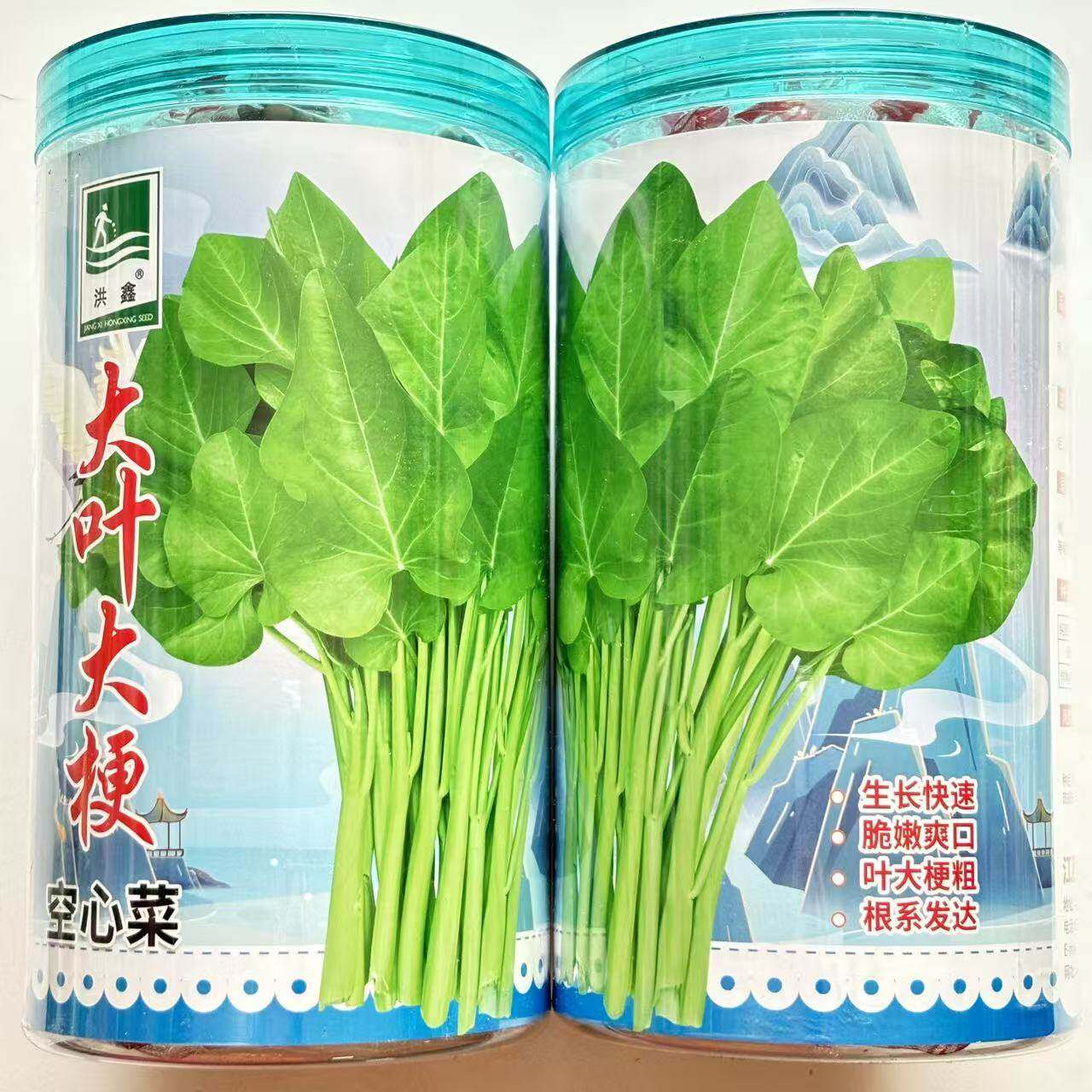 大叶大梗空心菜种子青梗蕹菜通心菜春季四季阳台盆栽耐热蔬菜种孑