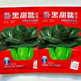 黑甜糯青菜种子四季黑叶油亮苏州青种籽真好吃四倍体矮脚青梗菜籽