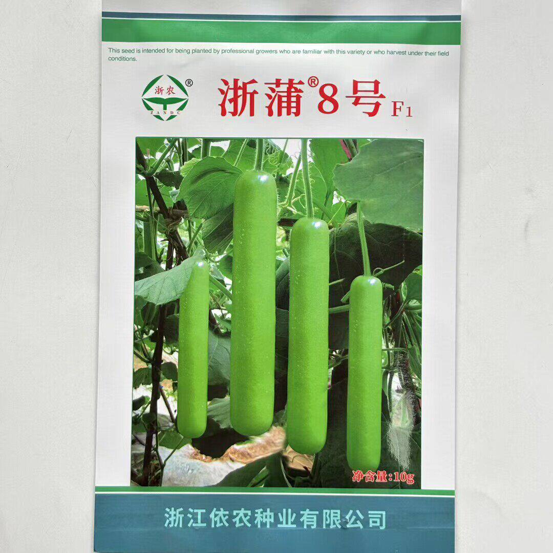 浙蒲8号早中熟蒲瓜种子长瓜种子瓠瓜种子耐热高产品质佳基地瓢瓜