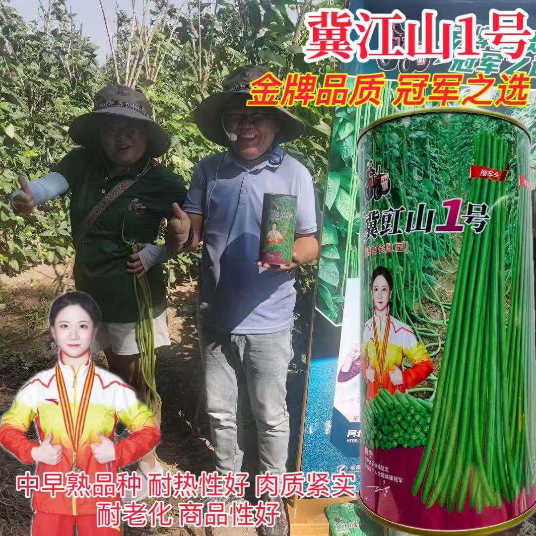 拖车头冀豇山1号翠绿色豆角种籽子种子孑豇豆高产蔬菜籽种菜抗病