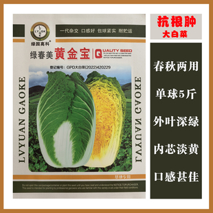 黄金宝大白菜种子抗根肿病耐抽薹耐贮运高产抗病耐储运蔬菜种籽子