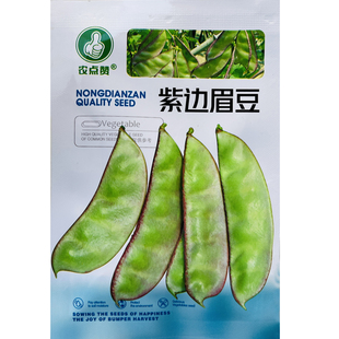 扁豆种子种籽四季豆角梅豆角红眉豆蔬菜梅豆孑架豆菜豆峨眉豆种冬