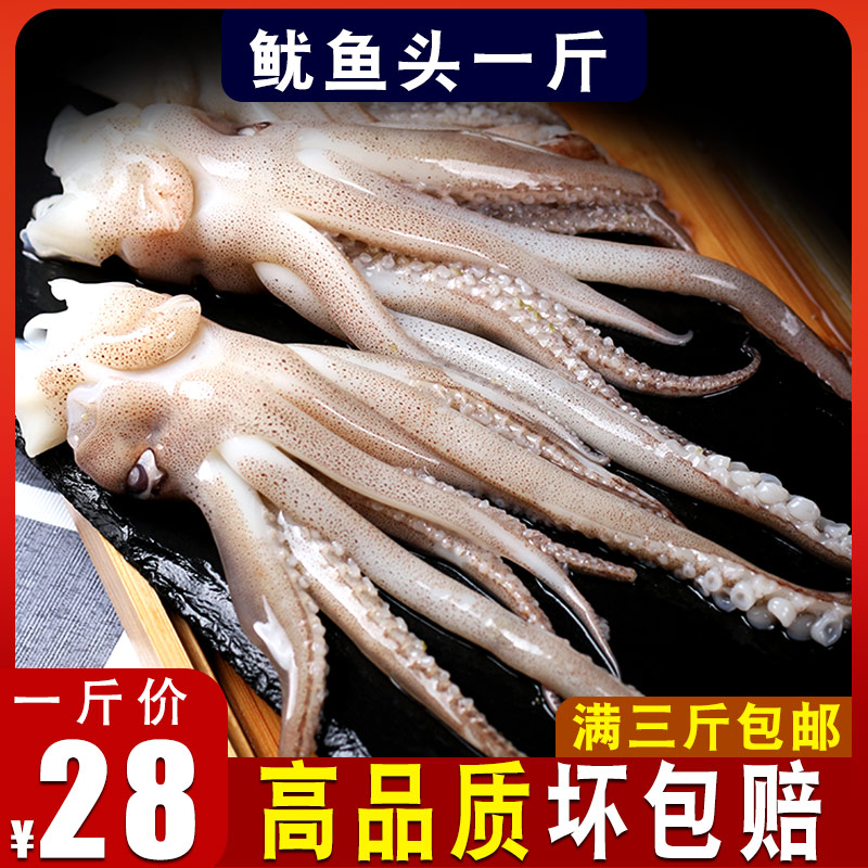 鱿鱼头 海鲜包邮冷冻 鱿鱼须新鲜尤鱼须500g半成品鲜
