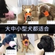 咬嘴防乱狗神器恶犬吃扰民止吠器狗狗口罩宠物捡狗叫防套防食防