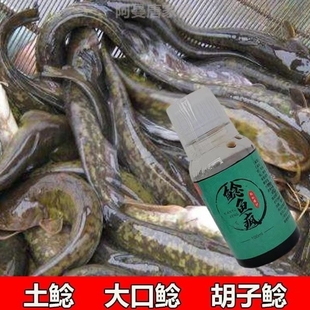 鲶鱼专用饵料鲶鱼疯胡子鱼大口鲶埃及土鲶克星塘鲺诱食剂小药钓饵