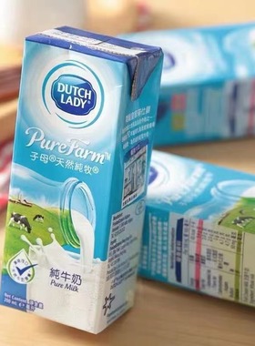 香港进口荷兰子母Dutch Lady子母奶原味天然纯牧营养早餐200ml*6