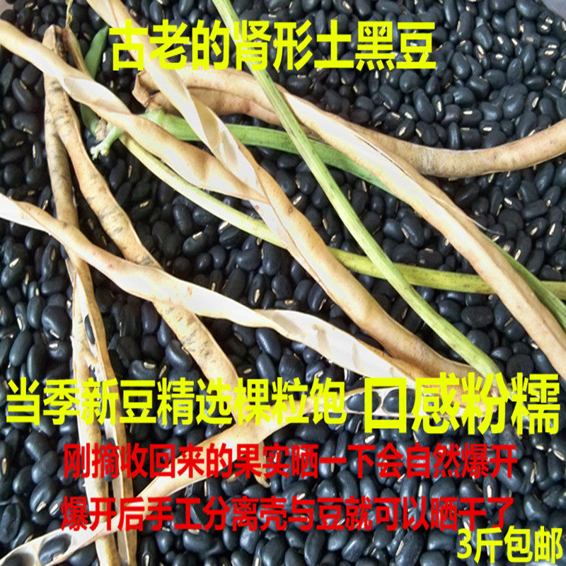 广西马山老品种肾形农家黑豆黑眉豆黑饭豆缸豆易煮烂一份3斤包邮
