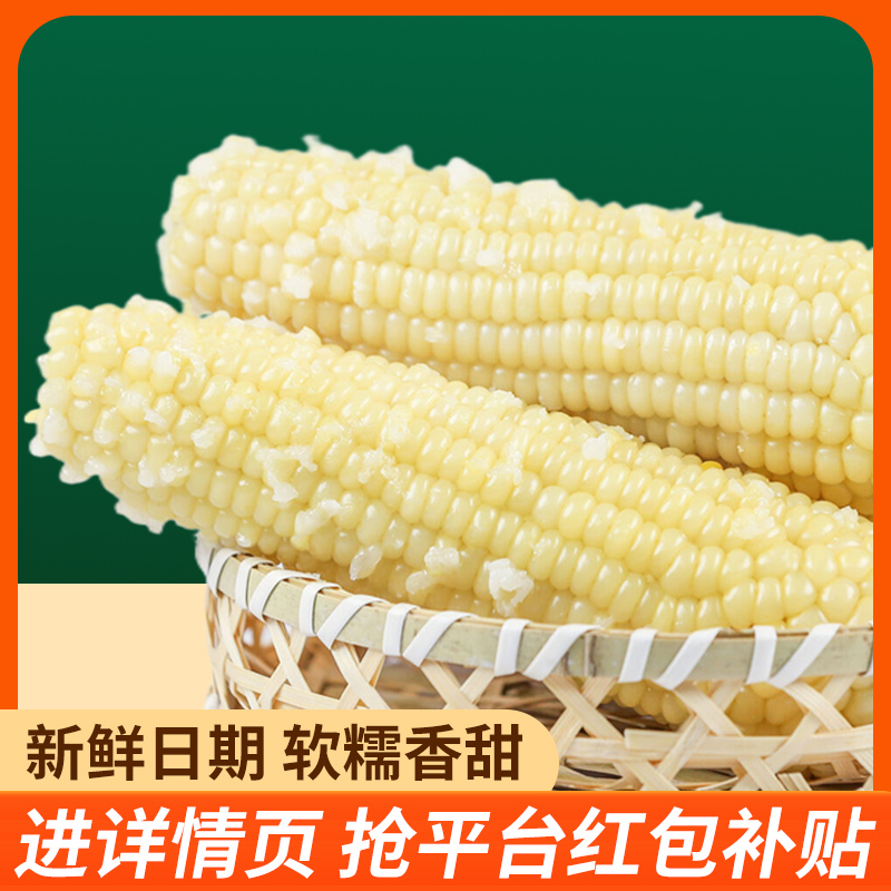 新鲜现摘10根白糯玉米出口品质