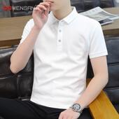 T恤2025新款 短袖 夏季 高级感翻领长袖 高端白色polo衫 保罗男款 男士