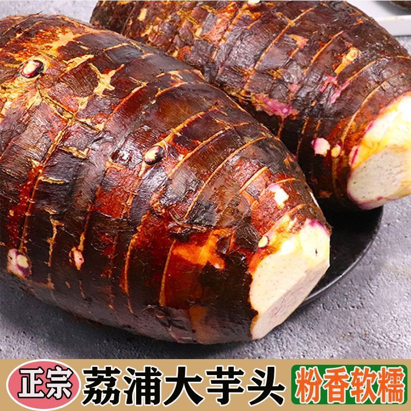 广西荔浦大芋头新鲜粉糯香芋正宗旗舰店槟榔芋毛芋艿农家自种现挖