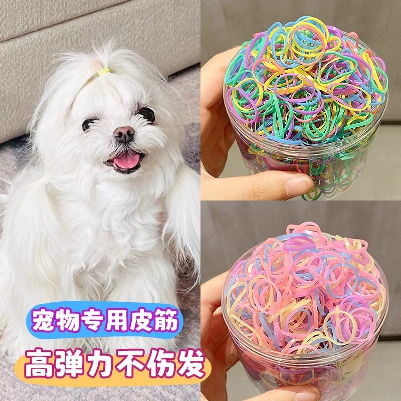 宠物专用皮筋发圈高弹力马尔济斯约克夏比熊猫咪扎啾发绳头绳发饰,宠物/宠物食品及用品,发饰/头饰,淘宝优惠券,粉丝福利购,淘宝优惠卷