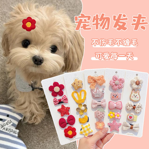 萌宠专用bb夹迷你骨头发夹