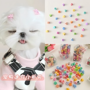 小狗狗抓夹宠物发夹约克夏马尔济斯配饰碎毛夹迷你头饰小发卡夹子