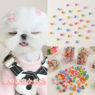 专用狗狗发夹头饰不掉抓夹子