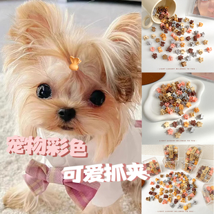 约克夏发夹小狗狗抓夹马尔济斯不掉碎毛夹迷你头饰宠物发卡夹子