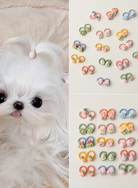 狗狗专用迷你皮筋宠物发绳头饰约克夏马尔济斯比熊发圈不伤毛发饰