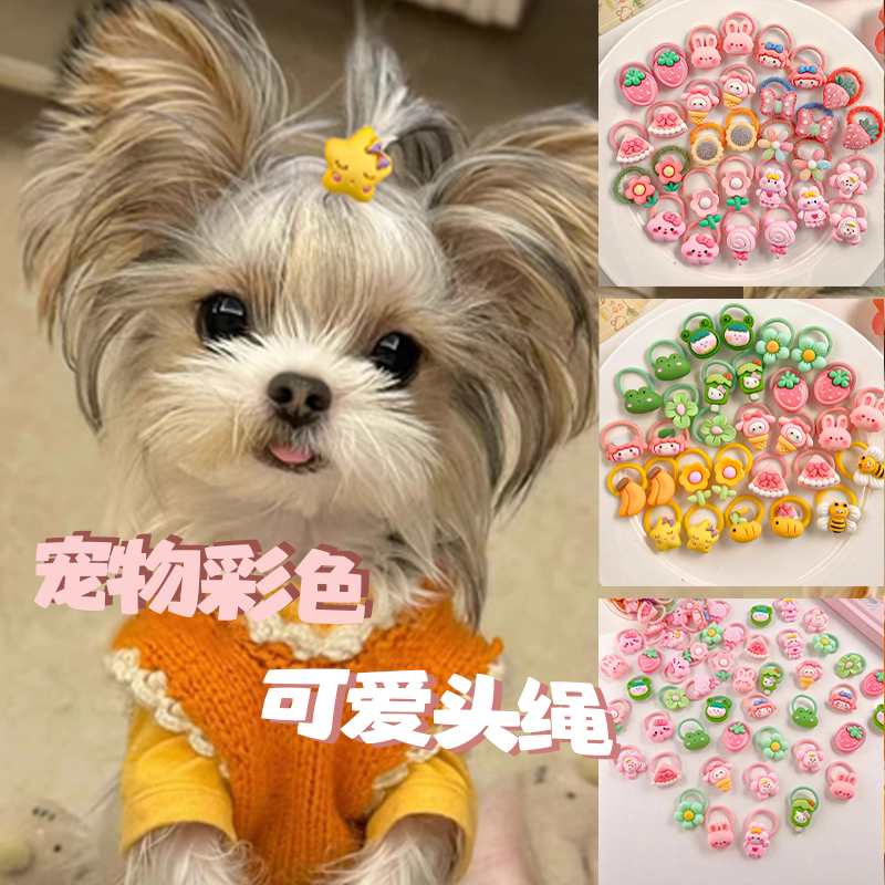 宠物小狗狗发圈不伤毛