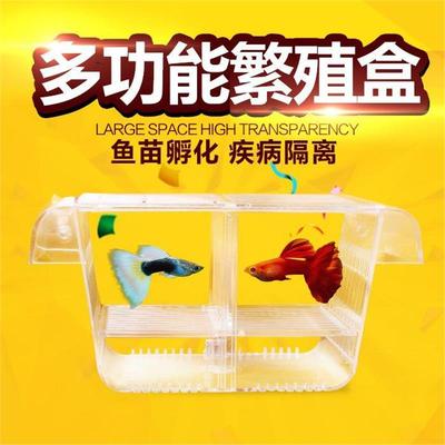 热带观赏孔雀鱼多功能鱼缸小鱼苗隔离繁殖孵化悬浮盒斗鱼盒D2