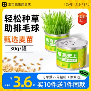 植高无上宠物猫草罐头猫咪零食化毛球小麦条种植猫草幼猫吃的猫草
