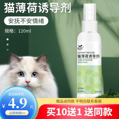 猫薄荷喷雾猫咪快乐水猫草诱导剂幼猫零食逗猫酒吸引安抚猫猫用品