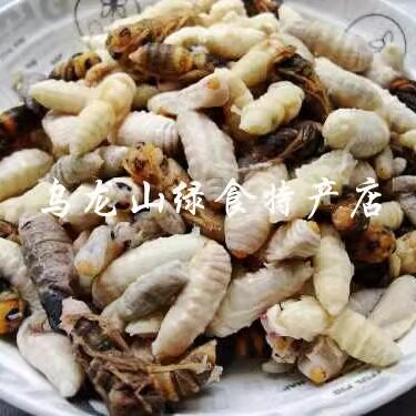 两斤顺丰包邮 食用农产品 湖南特产湘西大山里特产  速冻蜂蛹