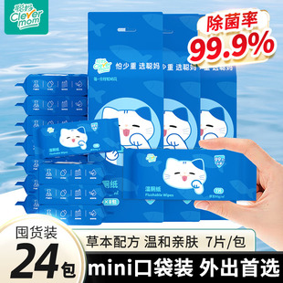 湿巾 聪妈迷你湿厕纸便携小包女士孕妇女性厕纸湿巾擦屁股男士