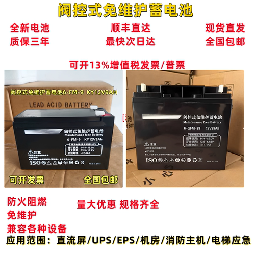 阀控式免维护蓄电池消防应急照明