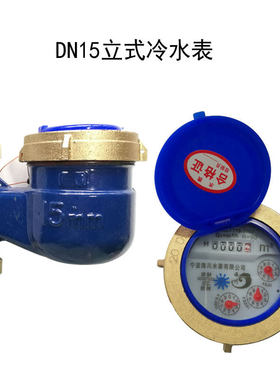天天一泉售水机水表立式冷水表 家用竖式水表 旋翼式 DN15