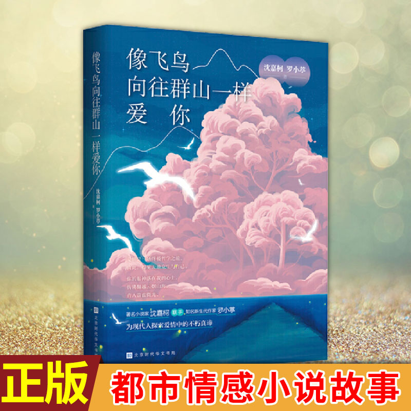 现货正版 像飞鸟向往群山一样爱你 沈嘉柯 著 和罗小葶联手书写23个普通人在追爱路上的 文学读物 都市情感小说 故事