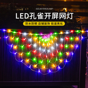 户外窗帘灯网红孔雀开屏网灯彩灯闪灯串灯满天星灯亮化装饰灯氛围