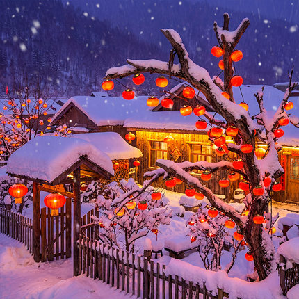 2026新年小彩灯柿子灯笼灯串春节装饰灯过年氛围灯led挂树上灯带